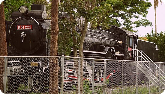 🌸 요기 공원(요기코엔) 이미지 4